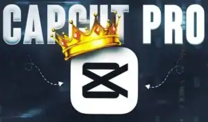 CapCut Pro Mod Apk All features unlocked 100% working apk